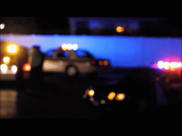 mike-quinn-the-coffeehouse-mysteries-by-cleo-coyle